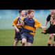 image 34 of 67